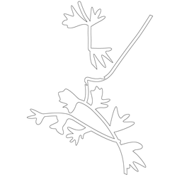 잎사귀문(69928)