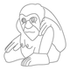 원숭이문(78910)