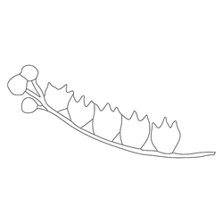 꽃문(76531)