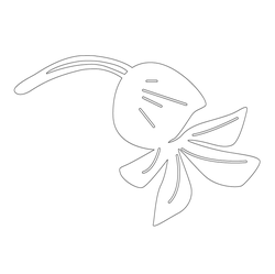 꽃문(70225)