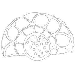 수막새(61888)