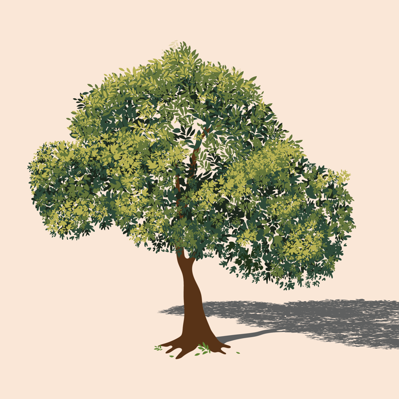 망해사의 팽나무(1006156)