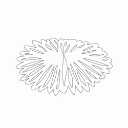 국화문(35422)