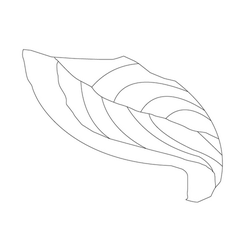 잎사귀문(21205)