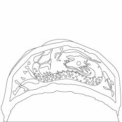 화산서원 내삼문 지붕(111327)