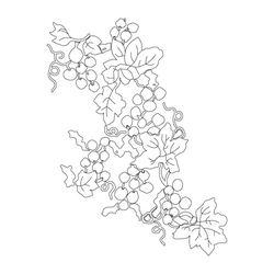 포도덩굴문(28565)