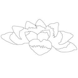 연꽃문(14408)