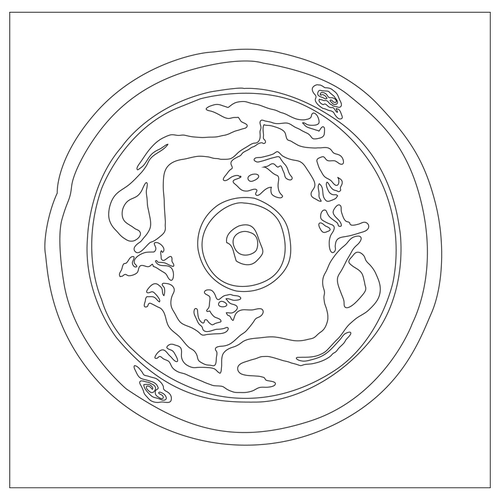 동경(80764)