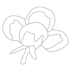 꽃문(76111)
