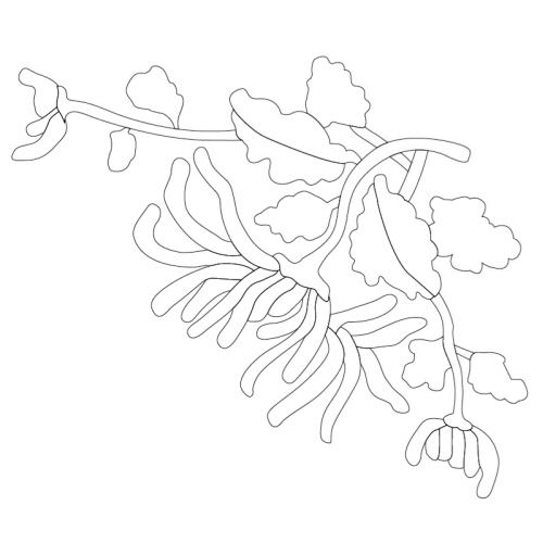 풀꽃문(28163)