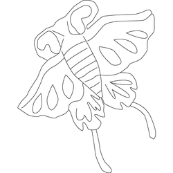 나비문(5403)
