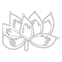 연꽃문(76152)