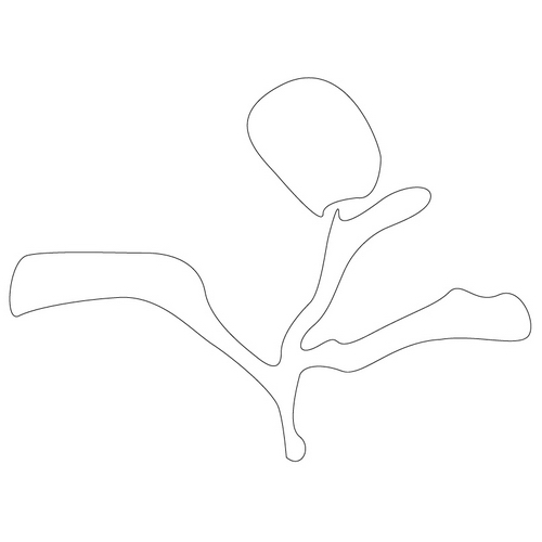 풀문(15163)