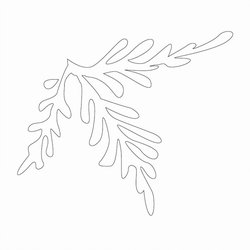 잎사귀문(40971)