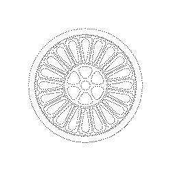 국화 자방(114861)