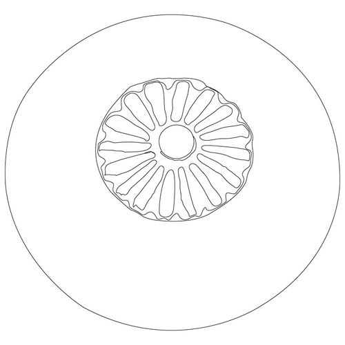 관자(80496)
