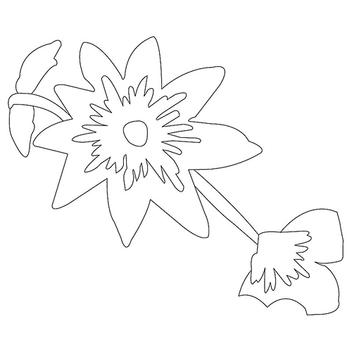 꽃문(76454)