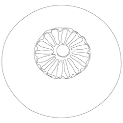 관자(80496)