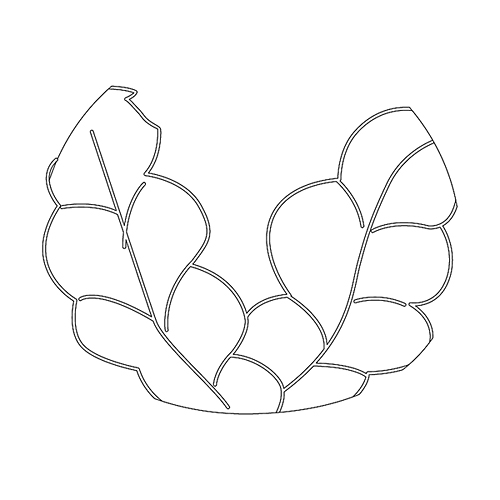 잎사귀문(79800)