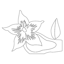 꽃문(74853)