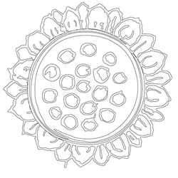 연꽃문(14537)