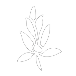 풀꽃문(34321)