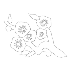 꽃문(80611)