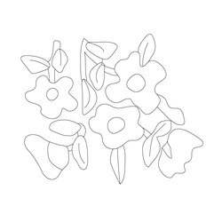 모란문(62629)
