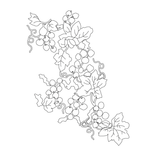 포도덩굴문(28565)