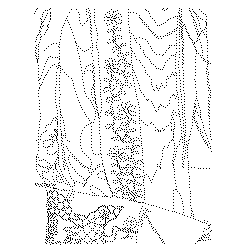 굴레(114291)