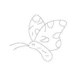 나비문(7769)