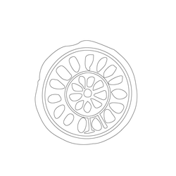 연화문수막새(51499)