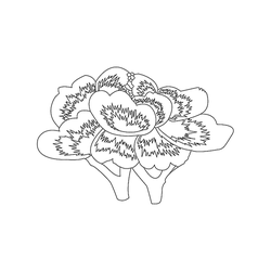 모란문(74810)