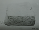 덩굴무늬전(52059)