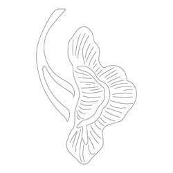 연꽃문(31649)