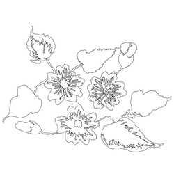 꽃문(80524)