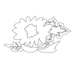 꽃문(75272)