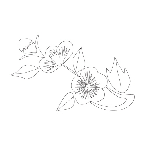 꽃문(32055)
