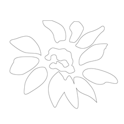 꽃문(70392)