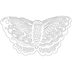 나비문(27971)
