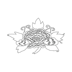 모란문(74829)