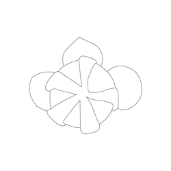 꽃문(62807)