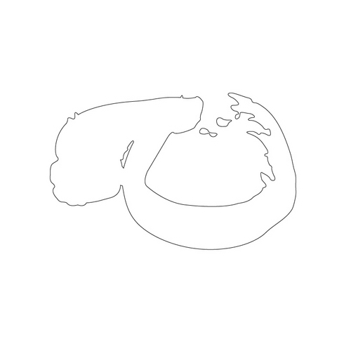 백자철화초문표형병(16401)
