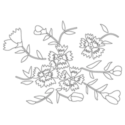 꽃문(74671)