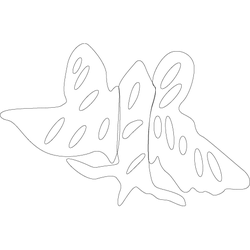 나비문(3660)