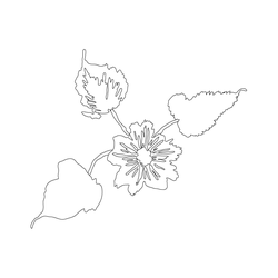 꽃문(80527)