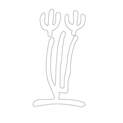 문자문(34282)