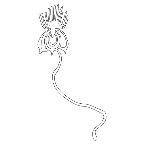 연꽃문(73533)