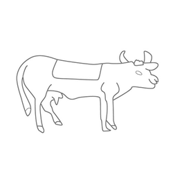 소문(20389)
