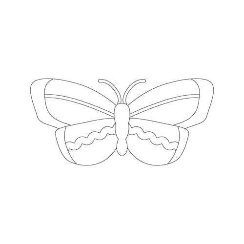 나비문(6998)